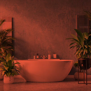 Tropical Bath